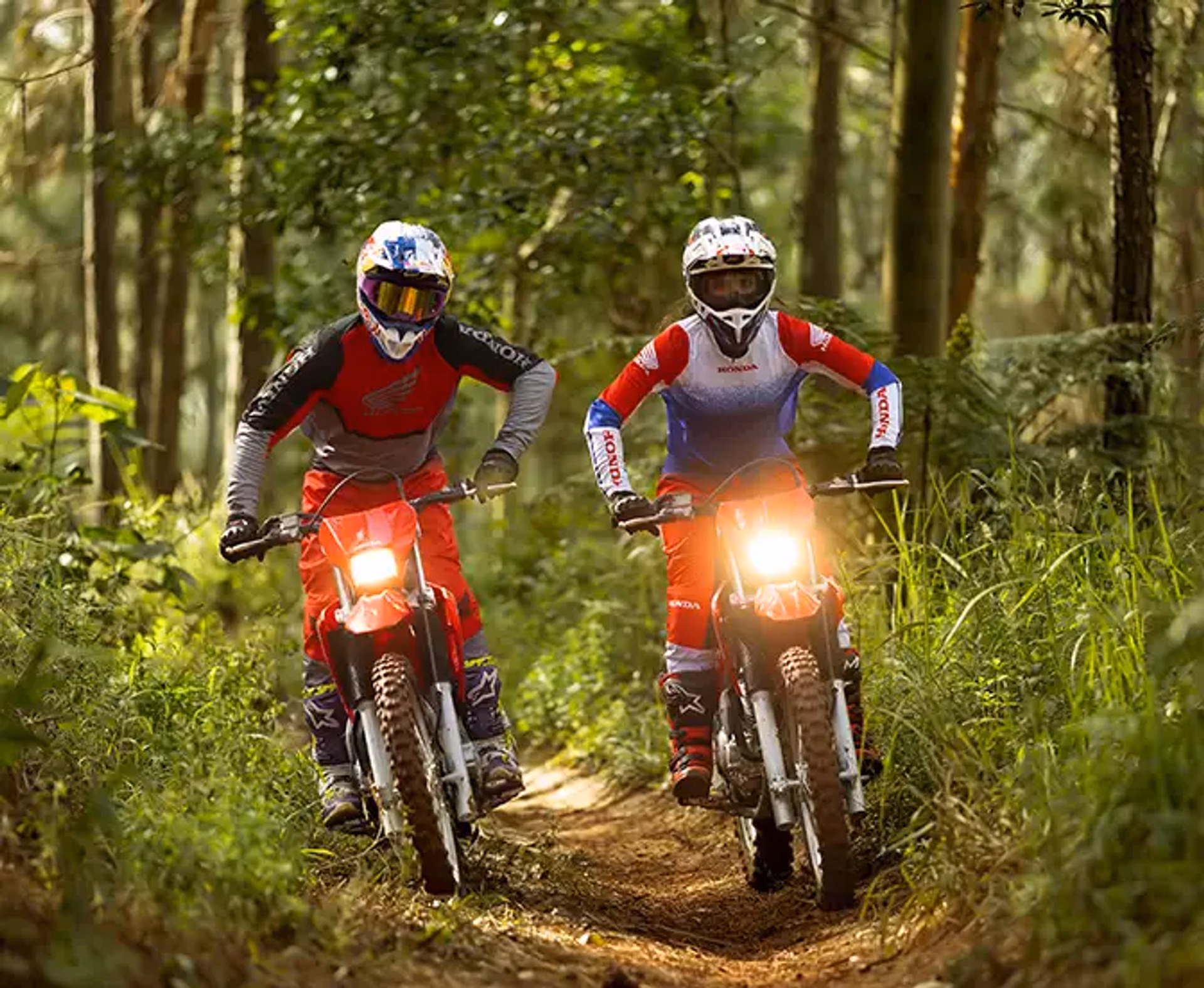 CRF 300F detalhe do conjunto traseiro - 7 de 7